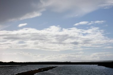 Algarve Bölgesi Portekiz 'deki Faro' nun tuzlu bataklıklarını gösteren güzel bir manzara.