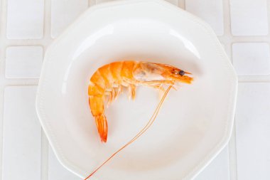 Tek pişmiş karides, beyaz bir tabakta servis altlığında, deniz ürünleri gibi tadını çıkarmaya hazır.