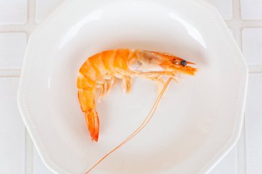 Tek pişmiş karides, beyaz bir tabakta servis altlığında, deniz ürünleri gibi tadını çıkarmaya hazır.