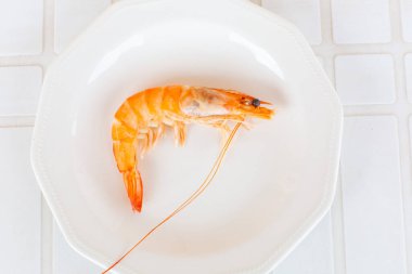 Tek pişmiş karides, beyaz bir tabakta servis altlığında, deniz ürünleri gibi tadını çıkarmaya hazır.