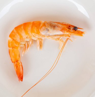 Tek pişmiş karides, beyaz bir tabakta servis altlığında, deniz ürünleri gibi tadını çıkarmaya hazır.