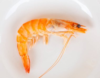 Tek pişmiş karides, beyaz bir tabakta servis altlığında, deniz ürünleri gibi tadını çıkarmaya hazır.