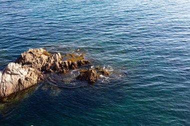 Akdeniz 'in saydam sularından çıkan yosunlu kayalık kayalıklar.