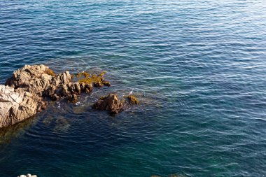 Akdeniz 'in saydam sularından çıkan yosunlu kayalık kayalıklar.