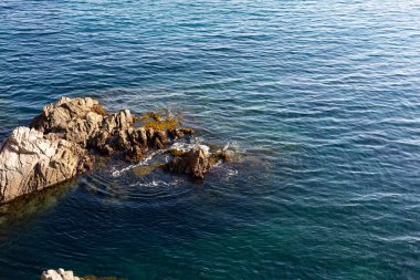 Akdeniz 'in saydam sularından çıkan yosunlu kayalık kayalıklar.