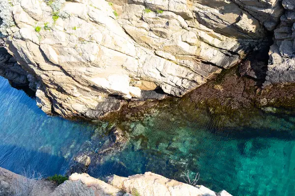 Akdeniz 'in saydam sularından çıkan yosunlu kayalık kayalıklar.