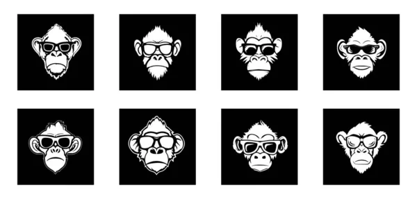 원숭이 디자인 — 스톡 벡터