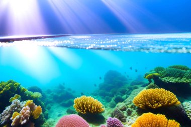 Sualtı sahnesi. Okyanus mercan resifi suyun altında. Deniz dünyası su altında. Su hattı ve su altı geçmişi. Metin için boş boşluk.