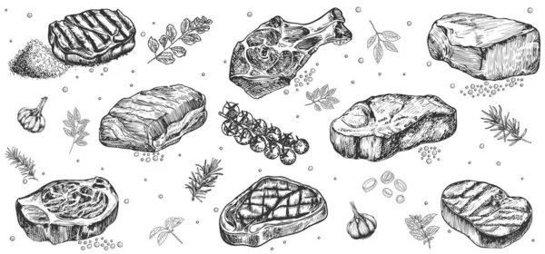 Boeuf Agneau Porc Dessinés Main Steak Extra Moyen Rare — Image vectorielle