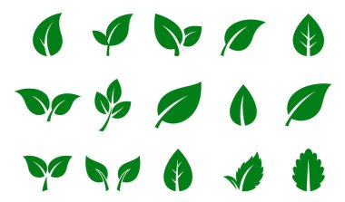 Yeşil yaprak simgeleri. Bitki, enerji ve sağlık kavramları için uygundur. Beyaz bir arkaplan üzerine dizayn edilmiş.