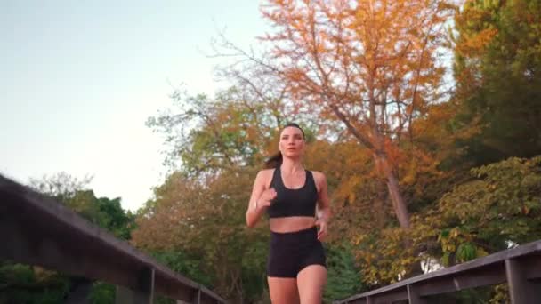 Žena Středního Věku Jogging Teplý Podzimní Den Městském Parku Dřevěný — Stock video