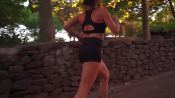 Middle Age Woman Jogging Summer Day City Park Side View — Stock Video