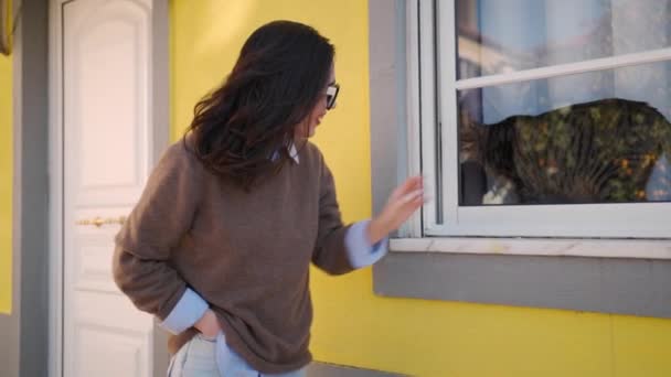女性の通りを歩いて 家の窓の後ろに座って猫を満たしています ガラスの屋外の後ろに猫と遊ぶ積極的な女性 国内猫遊び時間 猫と楽しいです正の女の子接触 — ストック動画