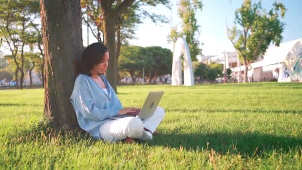 공원의 근처에 노트북 컴퓨터를 사용하는 공원의 자리에 여성은 노트북을 온라인 — 비디오