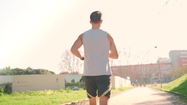 男子慢跑者在公园里跑 阳光明媚的一天后视镜 运动员在晨光下做有氧运动训练 慢跑训练实力雄厚的人 慢动作 健康的生活方式 — 图库视频影像