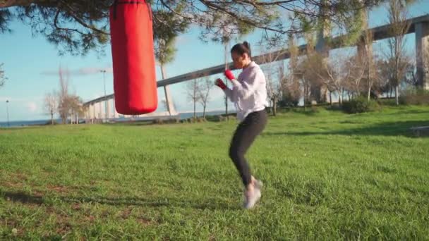 Mujer Boxeadora Dreesd Sudadera Con Capucha Calentando Músculo Corporal Hembra — Vídeos de Stock