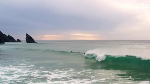 ウェットスーツの未確認のサーファーの友人は ポルトガルの大西洋で水泳やボディボードサーフィンを楽しんでいます サーフィンに最適な場所 ドローンビュー — ストック動画