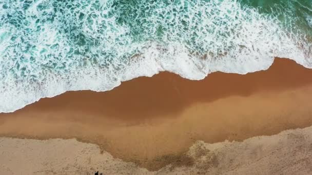 海水冲刷沙滩 一群游客探索自然和目的地 朋友们在海滩上汹涌大海边度假 — 图库视频影像