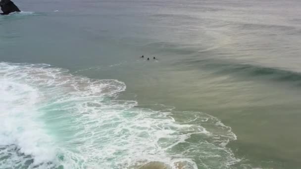 Luchtfoto Ongeïdentificeerde Surfers Vrienden Wetsuit Genieten Avonds Portugal Van Zwemmen — Stockvideo