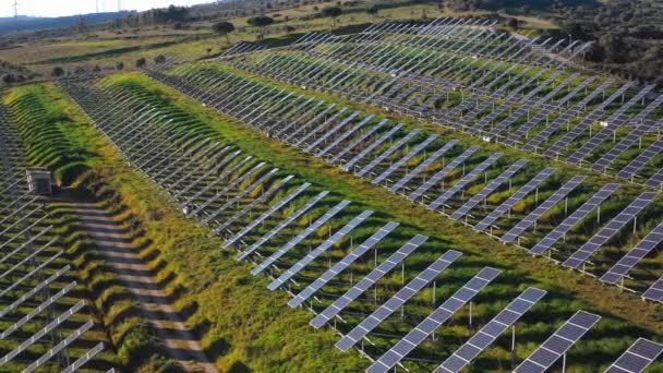 Güneş Panelleri Çiftliğinin Güneş Işığı Alan Hava Görüntüsü Nsansız Hava — Stok video