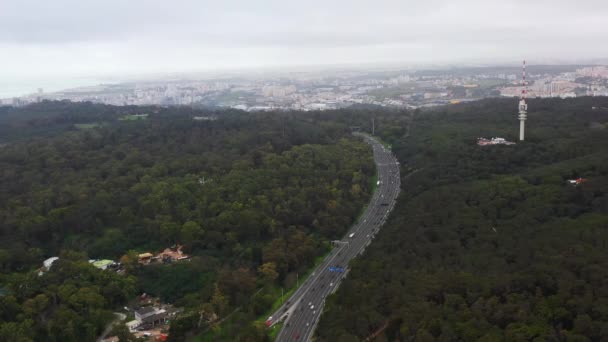 Autobahn Durch Wald Mit Kiefern Herbst Luftaufnahme Straße Mit Waldbäumen — Stockvideo