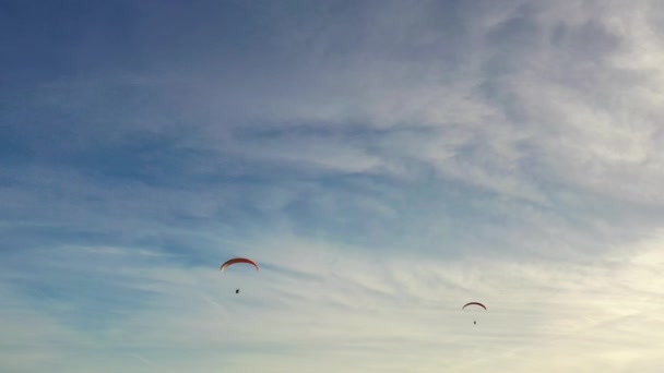 하늘을 영화같은 바다를 날아가는 패러글라이더입니다 알아볼 수없는 근처에서 패러글라이더를 날아다닌다 — 비디오