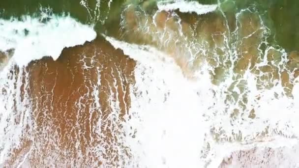 Splendida Ripresa Aerea Cattura Bellezza Una Spiaggia Incontaminata Dell Oceano — Video Stock