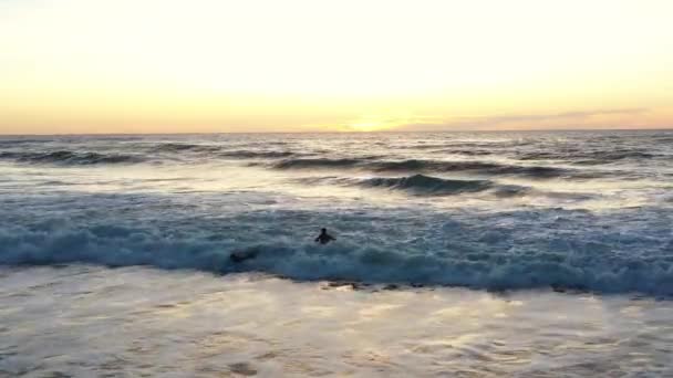 Deux Surfeurs Masculins Méconnaissables Chevauchent Les Vagues Océan Avec Planche — Video