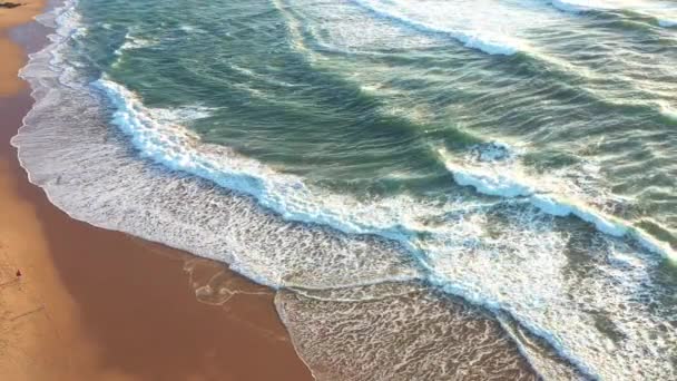 Drohnenblick Schön Während Türkisfarbene Meereswellen Der Sandküste Brechen Luftaufnahme Goldener — Stockvideo