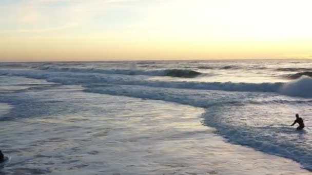 Los Aficionados Surf Montan Una Tabla Océano Atardecer Vista Aérea — Vídeo de stock