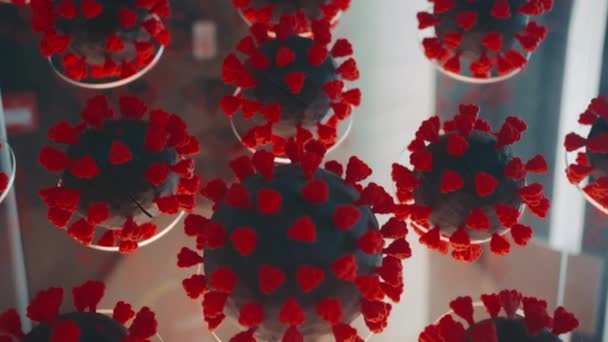 Explora Modelo Bacterias Covid Revelando Las Complejidades Microscópicas Viruss — Vídeos de Stock