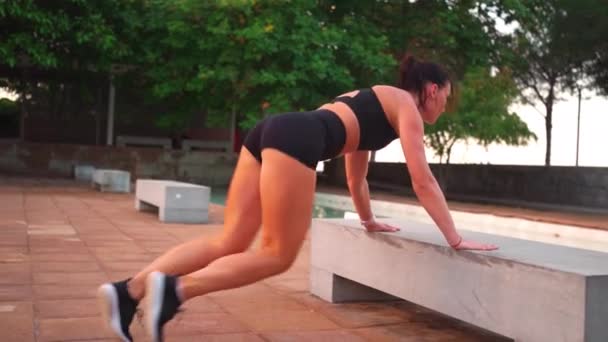Kobieta Uprawia Wspinaczkę Górską Parku Sportowiec Wykonujący Ćwiczenia Całego Ciała — Wideo stockowe