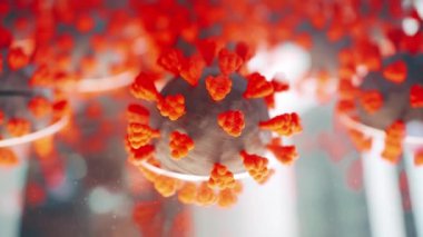 Coronavirus 'un detaylı plastik modeli COVID-19 hücre bakterisine yakından bakmamızı sağlıyor. Büyüleyici videoda virüslerin dünyasını ve salgının ardındaki bilimi araştırın.