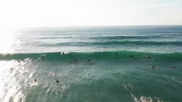 Drone View Groep Surfers Paardrijden Oceaan Golven Bij Zonsopgang Surfers — Stockvideo