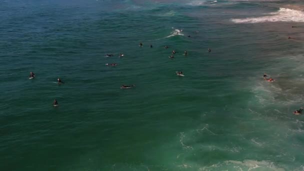 Les Surfeurs Groupe Drone Aerial View Attendent Les Vagues File — Video