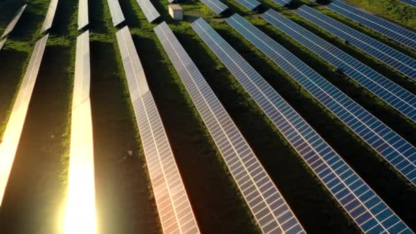 在繁茂的田野里 一排排太阳能电池板的空中无人驾驶镜头展现了绿色能源的创新 在阳光灿烂的日子里与大自然和谐相处 促进了可持续电力 — 图库视频影像