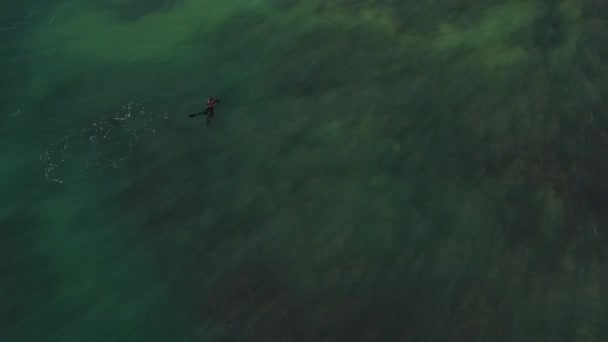 Υποβρύχια Ψάρεμα Αεροφωτογραφία Καταδύτης Ψαροντούφεκο Ρηχά Νερά Ψαράς Κολυμπά Και — Αρχείο Βίντεο