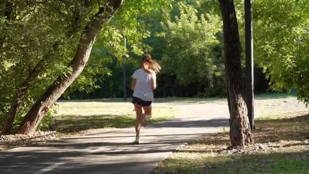 夏の公園でアスファルト フットパスで走るスポーティな若い女性のジョギングのバックビュー 健康的なライフスタイルと朝のトレーニングを表す自然の中で女性ランナーのジョギング — ストック動画