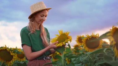 Hasır şapkalı gülen kadın tarlada açan ayçiçeği kokusu. Kafkas tarım işçisi günlük giysiler içinde bulutlu gökyüzünün altında ayçiçeği bitkileriyle ilgileniyor. Çiftçilik kavramı.