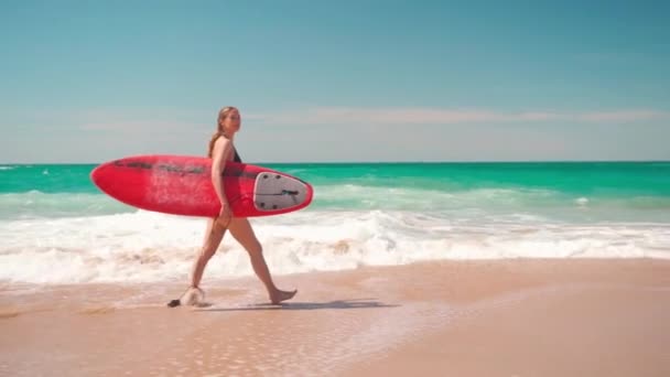 Mujer Activa Turista Llevando Tabla Surf Roja Caminando Por Mar — Vídeo de stock