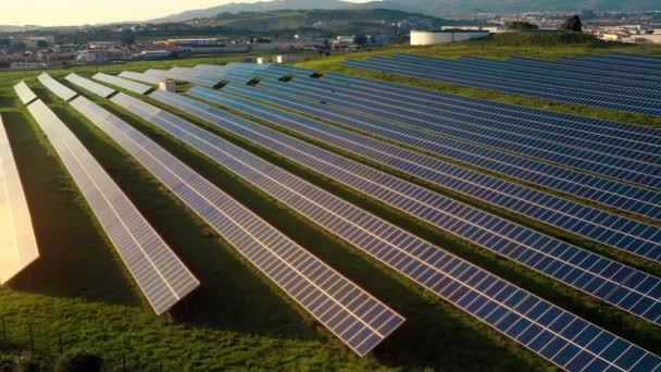 Solpaneler Med Solstråle Producerer Vedvarende Energikilde Til Forskellige Huse Virksomheder – Stock-video