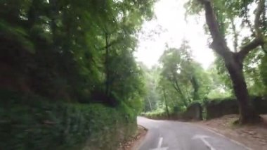 Sintra Ormanı Yolu boyunca giden ve otantik ince patikadan geçen arabadaki kameranın görüntüsü. POV 'ta bulutlu yolculuk videosu.. 