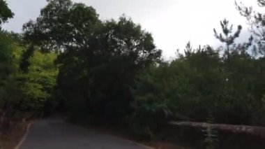 Portekiz 'in Sintra Ormanı yolunda otantik, ince patikada araba süren ilk kişinin kamera görüntüsü. POV 'ta bulutlu yolculuk videosu.. 
