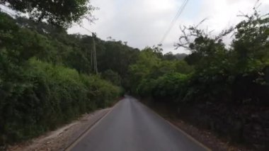 Birinci şahıs bakış açısı, FPV, Sintra Ormanı Yolu boyunca giden arabanın konsolundan, otantik ince yolda gidiyor. POV 'ta bulutlu yolculuk videosu.. 