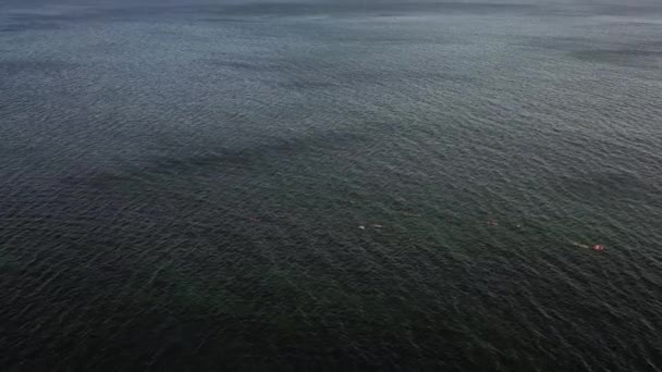 Nageurs utilisant des flotteurs, nageant sur de longues distances en haute mer. Filmée à partir d'un drone, la vidéo capture leur séance d'entraînement dans l'eau bleue alors qu'ils traversent les vagues