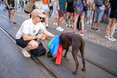 Lizbon, Portekiz. 17 Haziran 2023 Homoseksüel kadın tramvayda gökkuşağı bayrağıyla köpeğini örtüyor. Erkekler ve kadınlar LGBTQ haklarını kutluyorlar.. 