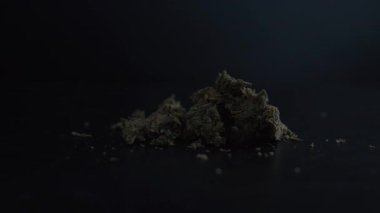 Polis stüdyosu ışıkları altında kurumuş marihuana tomurcukları, canlı ve görsel olarak çarpıcı bir şekilde dokularını ve detaylarını vurguluyorlar.