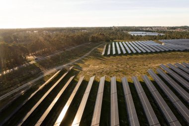 Çimenli topraklara birçok sıra güneş paneli monte edilmiş büyük güneş çiftliğinin insansız hava aracı görüntüsü. Öğleden sonra saatlerinde panellere yansıyan güneş ışığı. Arka planda yoğun orman görünüyor