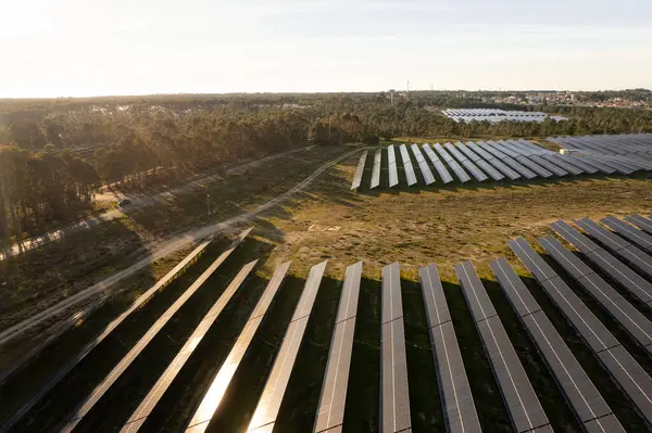 Çimenli topraklara birçok sıra güneş paneli monte edilmiş büyük güneş çiftliğinin insansız hava aracı görüntüsü. Öğleden sonra saatlerinde panellere yansıyan güneş ışığı. Arka planda yoğun orman görünüyor
