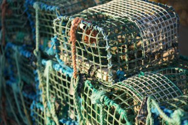 Kıyı şeridi boyunca canlı renkler ve sağlam malzemeler sergilenen yengeç tuzakları düzenlenir. Tuzaklar, güneş ışığını yansıtan sabahın erken saatlerinde avlanmak için hazırdır..